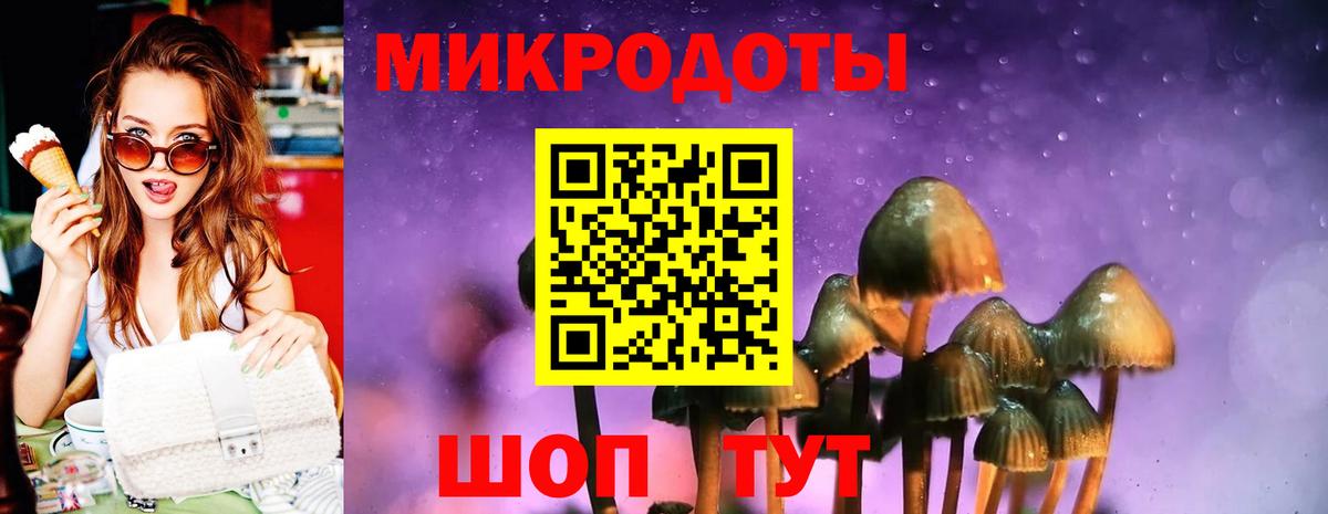 Галлюциногенные грибы Magic Shrooms  где продают   Галлюциногенные грибы мицелий  Алейск  Вход с VPN 